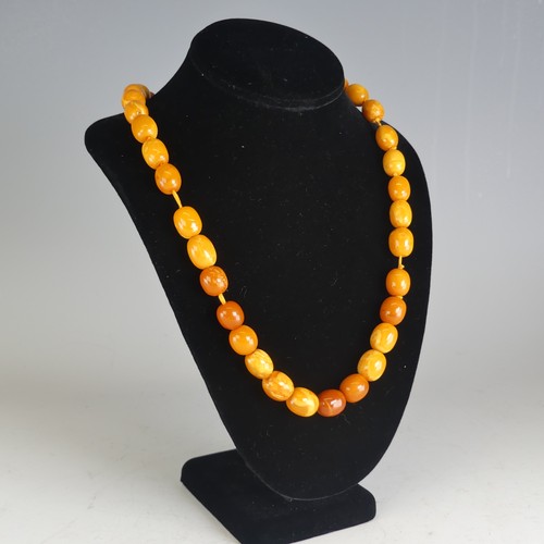 300 - A graduated amber bead Necklace, the largest 16mm long, on replacement string and paste clasp, toget... 