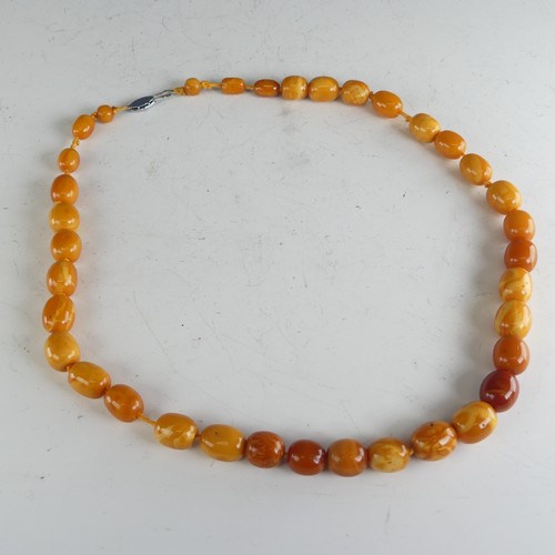 300 - A graduated amber bead Necklace, the largest 16mm long, on replacement string and paste clasp, toget... 