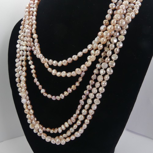 311 - A triple row of pink freshwater Pearls, with silver clasp, together with a pair of gold plate mounte... 