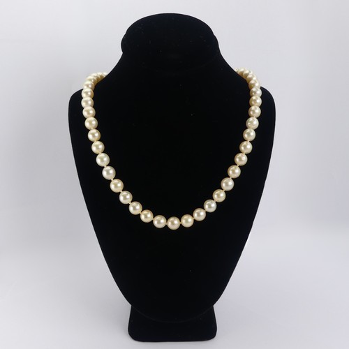 254 - A row of uniform cultured Pearls, approx. 7.2-7.4mm diameter, with 18ct yellow gold snap set two cul... 