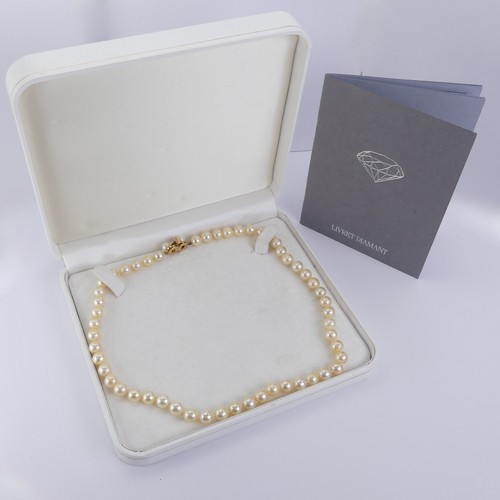 254 - A row of uniform cultured Pearls, approx. 7.2-7.4mm diameter, with 18ct yellow gold snap set two cul... 