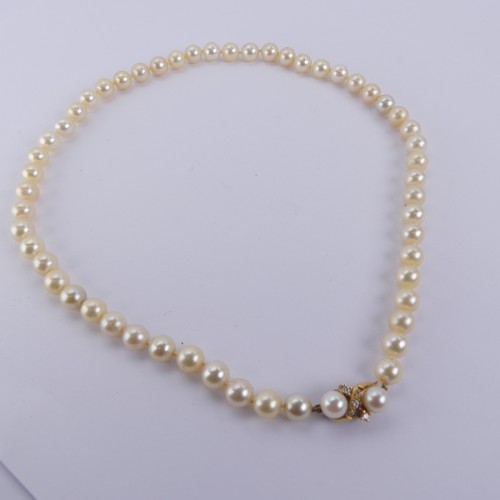 254 - A row of uniform cultured Pearls, approx. 7.2-7.4mm diameter, with 18ct yellow gold snap set two cul... 