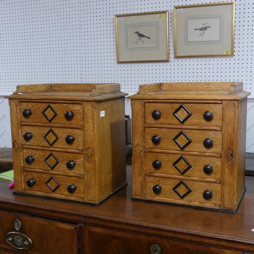 685 - A pair of small oak specimen Cabinets, each with four drawers mounted with turned ebonised handles, ... 