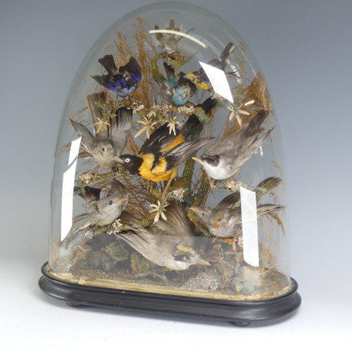 698 - Taxidermy; a large Victorian cased Diorama, the display with ten exotic birds, mounted on a naturali... 