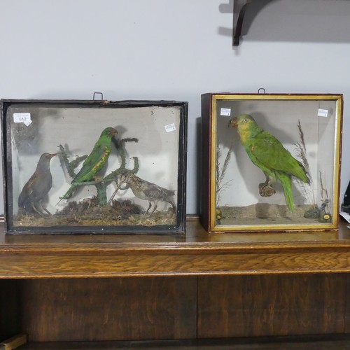 612 - Taxidermy; an antique cased Diorama of Birds, including ; a Snipe(Gallinago Gallinago?), a Water Rai... 