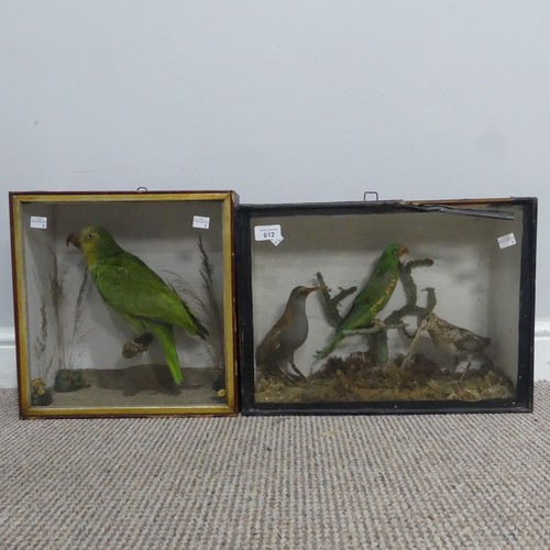 612 - Taxidermy; an antique cased Diorama of Birds, including ; a Snipe(Gallinago Gallinago?), a Water Rai... 