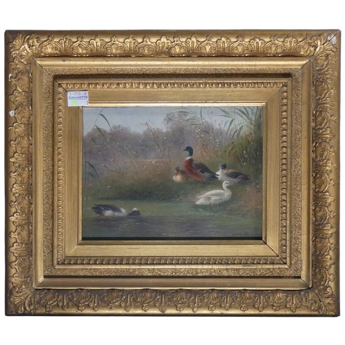 228 - Van Der Strass (20th century), Chickens in a farmyard, and Ducks in a pond, a pair, oil on panel, bo... 