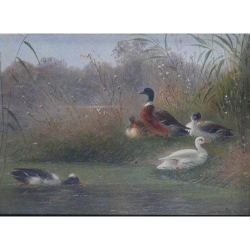 228 - Van Der Strass (20th century), Chickens in a farmyard, and Ducks in a pond, a pair, oil on panel, bo... 