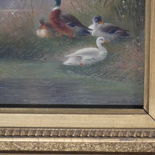 228 - Van Der Strass (20th century), Chickens in a farmyard, and Ducks in a pond, a pair, oil on panel, bo... 