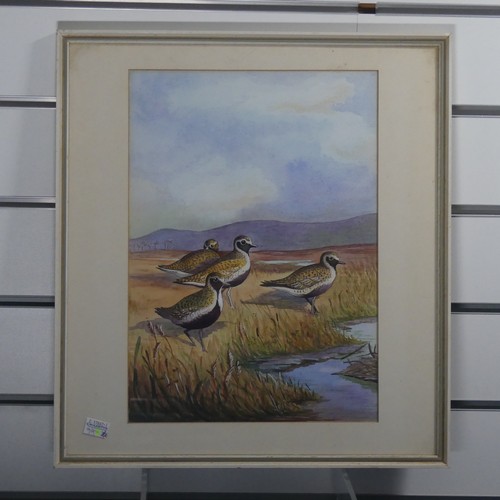 202 - 20th century School, Common Loon, watercolour, 23cm x 29cm, framed, and another ornithological water... 