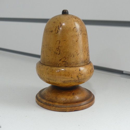 An early 19th century fruitwood treen String Box, in the form of an Acorn, H 13 cm.