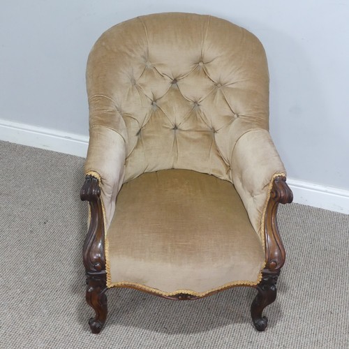 569 - A Victorian mahogany upholstered button-back Armchair, with scrolled armrests and supports, W 62 cm ... 