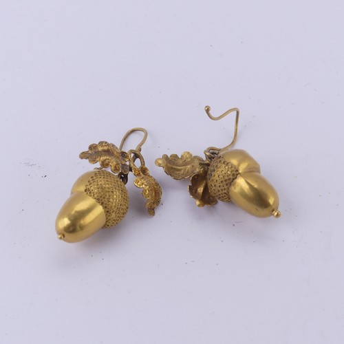 231 - A pair of Victorian gold acorn drop Earrings, naturalistically modelled suspended from double oak le... 