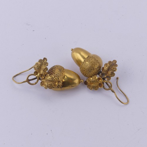 231 - A pair of Victorian gold acorn drop Earrings, naturalistically modelled suspended from double oak le... 