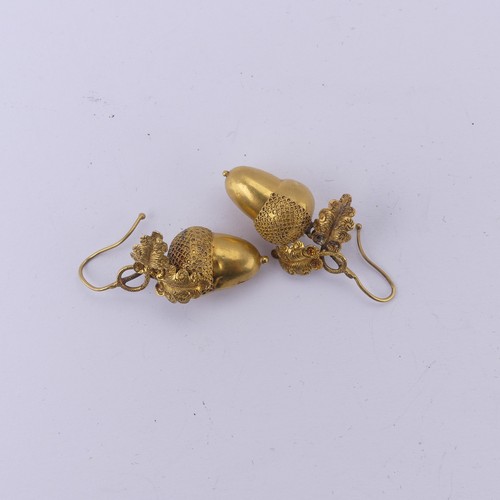 231 - A pair of Victorian gold acorn drop Earrings, naturalistically modelled suspended from double oak le... 