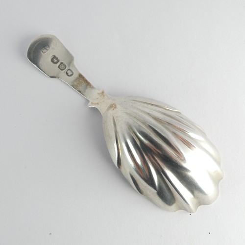 51 - A William IV silver Caddy Spoon, by Francis Powell, hallmarked London 1819, fiddle pattern with shel... 