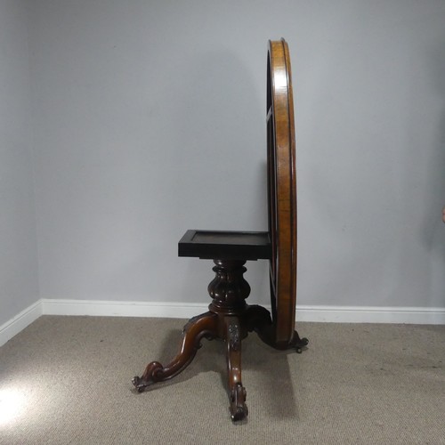 688 - A Victorian rosewood tilt-top Table, the oval top raised on carved and turned column and quadraform ... 