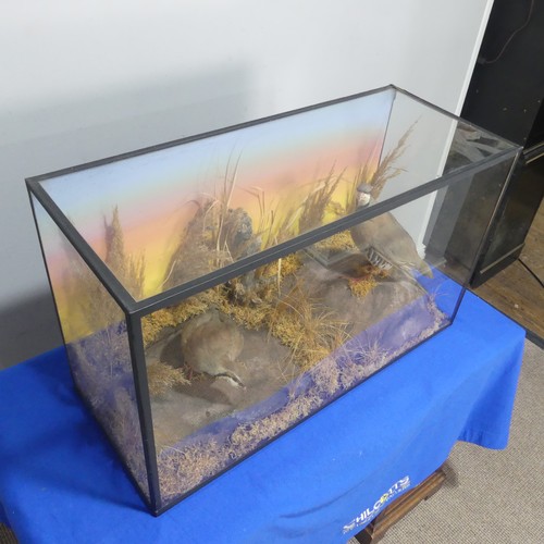 719 - Taxidermy: an antique cased diorama of two Partridges, in naturalist grassland display, W 79.5 cm x ... 