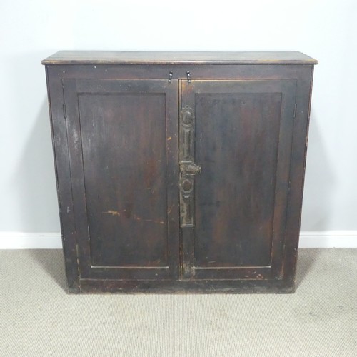 722 - A 19th century stained pine Cupboard, raised on plinth base, W 124.5 cm x H 124 cm x D 35.5 cm.... 