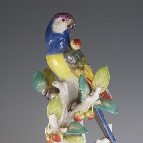 17 - A Meissen porcelain figure of a Parrot, perched on branch surrounded by Cherries, Mushrooms and Stra... 