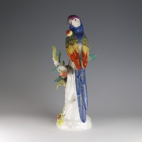 17 - A Meissen porcelain figure of a Parrot, perched on branch surrounded by Cherries, Mushrooms and Stra... 