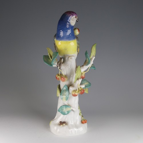 17 - A Meissen porcelain figure of a Parrot, perched on branch surrounded by Cherries, Mushrooms and Stra... 