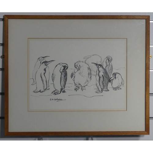 155 - Gertrude A Matheson (20th century), Group of Penguins, pencil on paper, signed, 28cm x 38cm, framed ... 