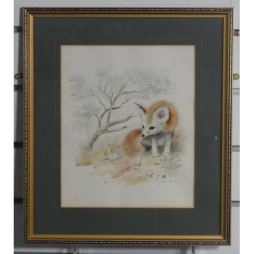 156 - John Evans (20th century), Four wildlife animal studies, pencil and watercolour, including Panda Bea... 