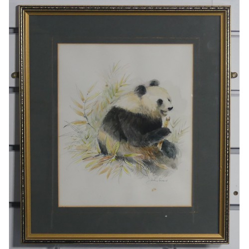 156 - John Evans (20th century), Four wildlife animal studies, pencil and watercolour, including Panda Bea... 