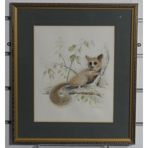 156 - John Evans (20th century), Four wildlife animal studies, pencil and watercolour, including Panda Bea... 