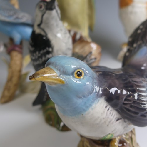 24 - A small quantity of Beswick pottery Figures, to comprise Green Woodpecker 1218, Kestrel 2316, Lesser... 