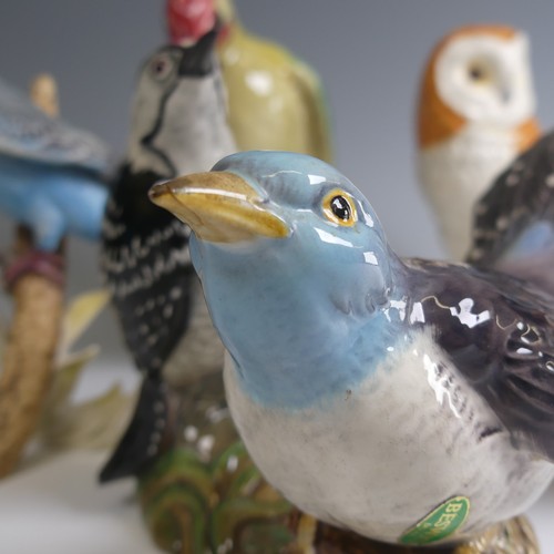 24 - A small quantity of Beswick pottery Figures, to comprise Green Woodpecker 1218, Kestrel 2316, Lesser... 