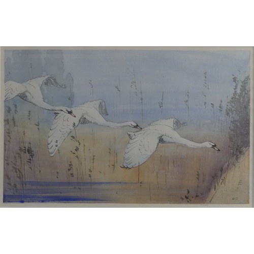 169 - Alan William Seaby (1867-1953), Swans in Flight, colour woodcut, signed in pencil in the margin, ima... 