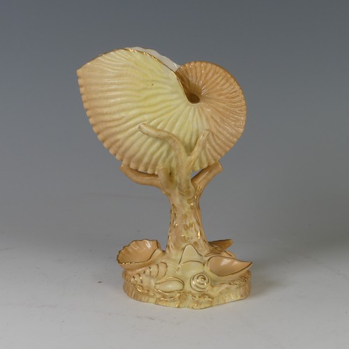 84 - A Royal Worcester blush ivory Shell vase, shape 101, with coral stem and shell base, decorated in gi... 