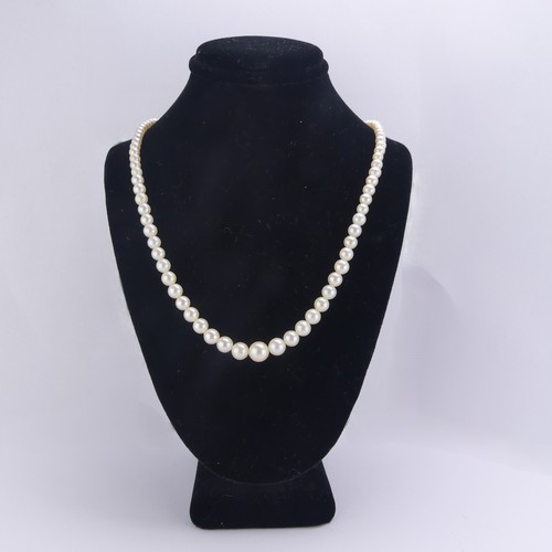 A graduated cultured pearl Necklace, largest pearl approx. 7.14mm diameter, on a 9ct gold snap, 45cm long, in a vintage velvet lined silk Mikimoto presentation case.
