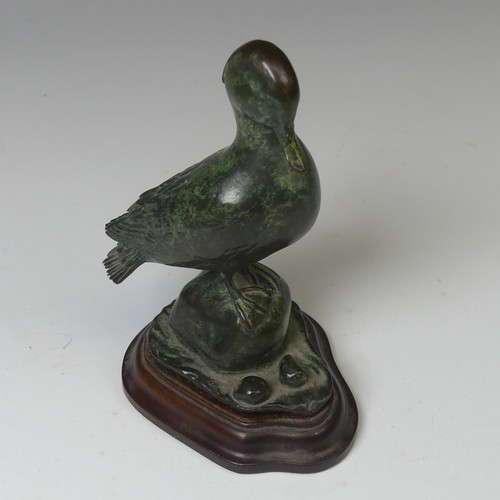 11 - Patricia Northcroft (contemporary), 'Teal Preening', limited edition patinated bronze sculpture, sig... 