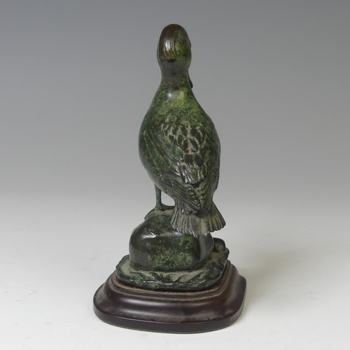11 - Patricia Northcroft (contemporary), 'Teal Preening', limited edition patinated bronze sculpture, sig... 