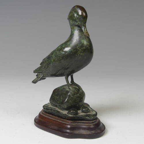 11 - Patricia Northcroft (contemporary), 'Teal Preening', limited edition patinated bronze sculpture, sig... 