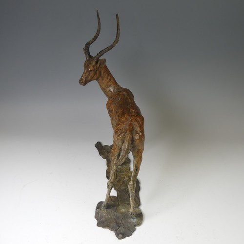 12 - Hamish Mackie (British, b. 1990), 'Impala, 2018', bronze sculpture limited edition of 12, signed and... 