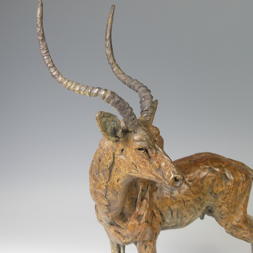 12 - Hamish Mackie (British, b. 1990), 'Impala, 2018', bronze sculpture limited edition of 12, signed and... 