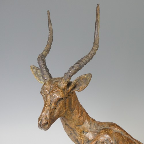12 - Hamish Mackie (British, b. 1990), 'Impala, 2018', bronze sculpture limited edition of 12, signed and... 