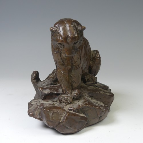 4 - Mark Coreth (British, b. 1958), 'Snow Leopard Field Study', limited edition bronze sculpture, signed... 