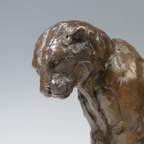 4 - Mark Coreth (British, b. 1958), 'Snow Leopard Field Study', limited edition bronze sculpture, signed... 