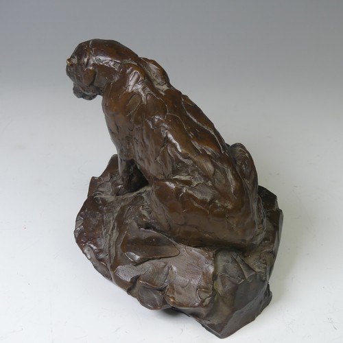 4 - Mark Coreth (British, b. 1958), 'Snow Leopard Field Study', limited edition bronze sculpture, signed... 