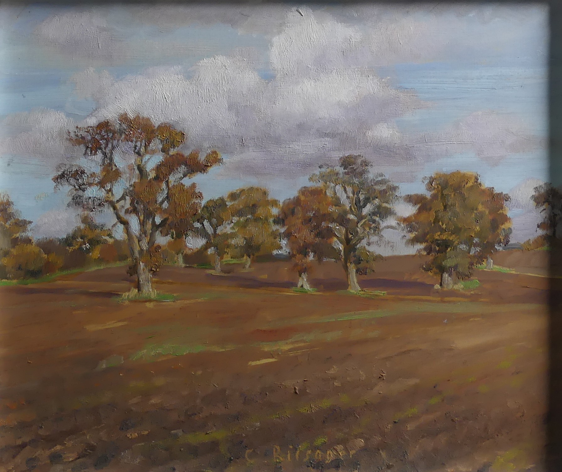 Chris Riisager (b. 1961) Trees in a plowed field, oil on board, signed ...
