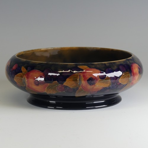 Lot 24        