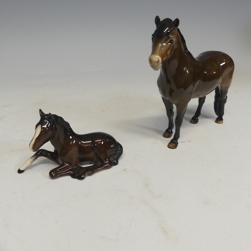 181 - A group of six Beswick Horses, one laying foal marked '915' another 'Exmoor', and four more, togethe... 