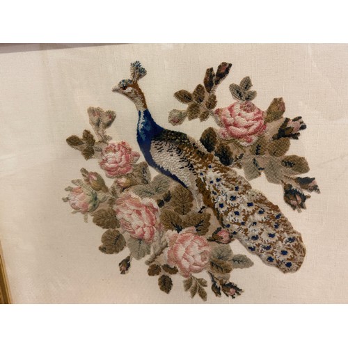 239 - A 19th century plush and bead work Peacock, on floral swag, framed and glazed, 42 cm x 60 cm, togeth... 