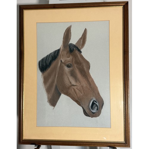 248 - 20th century school, pastel portrait of a horse, with gallery label to verso, 61 cm x 43 cm, framed ... 