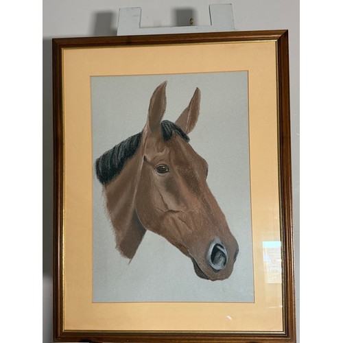 248 - 20th century school, pastel portrait of a horse, with gallery label to verso, 61 cm x 43 cm, framed ... 